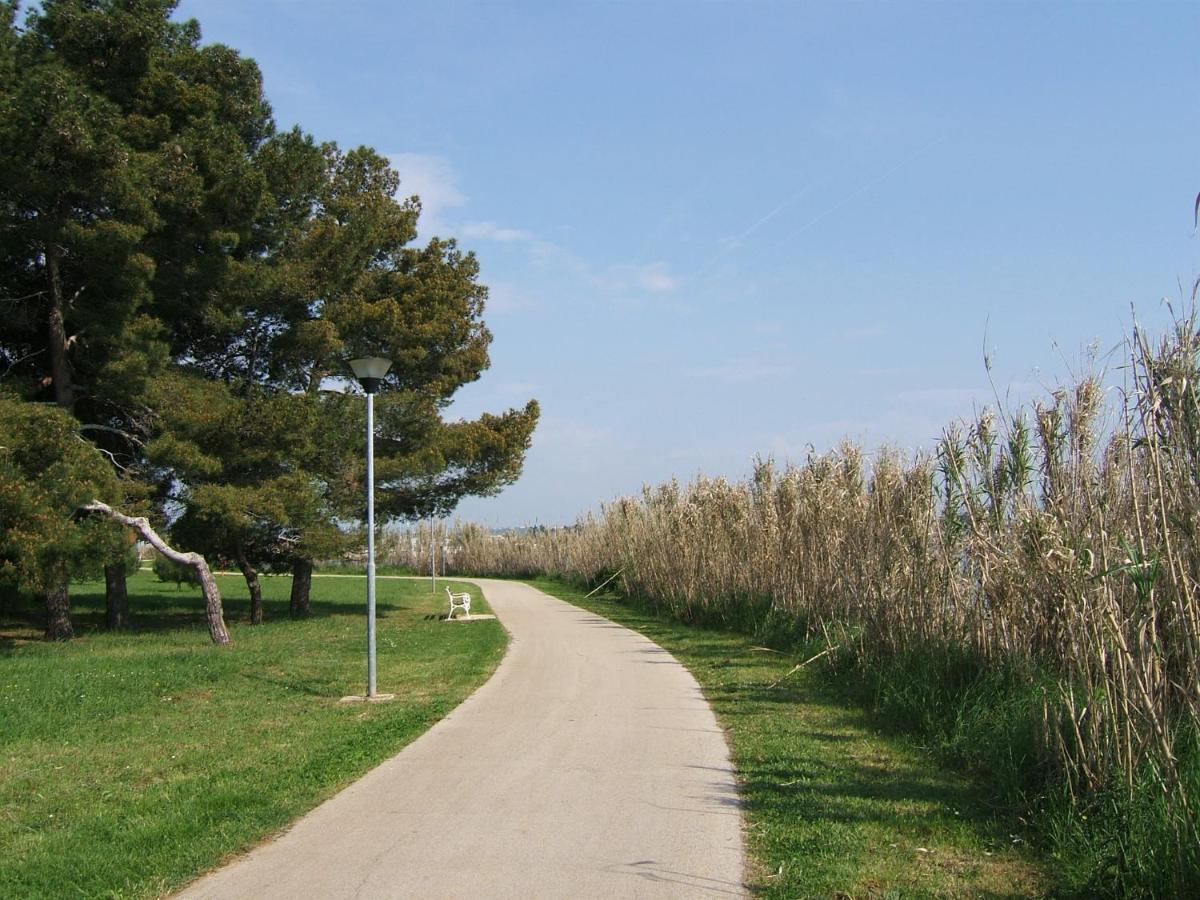 Tamaris, 600 M From The Beach Novigrad Istria Exteriör bild